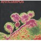 ANTICUERPOS – Anticuerpos - CD