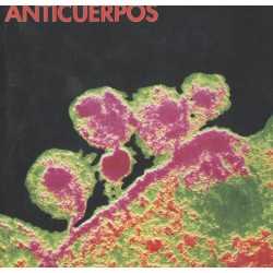 ANTICUERPOS – Anticuerpos - CD