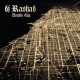 DJ RASHAD - Double Cup - LP