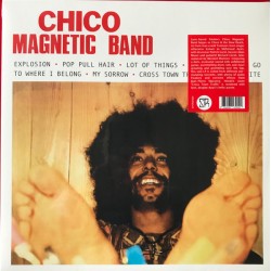 CHICO MAGNETIC BAND – Chico Magnetic Band - LP