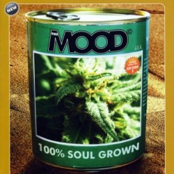 THE MOOD a.k.a. - 100% Soul Grown - CD
