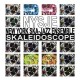 the NEW YORK SKA-JAZZ ENSEMBLE - Skaleidoscope - LP