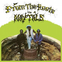 THE MAYTALS - From The Roots - LP