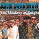 THE SHADOWS OF KNIGHT - Back Door Man - LP