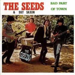 THE SEEDS & SKY SAXON - Bad Part Of Town - LP