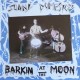 SUNNY DOMESTOZS - Barkin At The Moon - LP