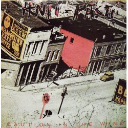 ANTI-PASTI - Caution In The Wind - LP