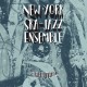 THE NEW YORK SKA-JAZZ ENSEMBLE - Break Thru - CD