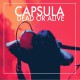 CAPSULA - Dead Or Alive - LP