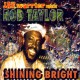 ROD TAYLOR - Shining Bright - CD