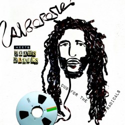 ALBOROSIE Meets Roots Radics - Dub For the Radicals - LP+CD