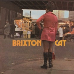 JOE'S ALL STARS - Brixton Cat - LP ( Orange )
