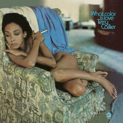 TERRY CALLIER - What Color Is Love - LP