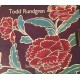 TODD RUNDGREEN - Something/Anything - 2xLP
