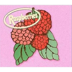RASPBERRIES - Classic Album Set - 4xCD