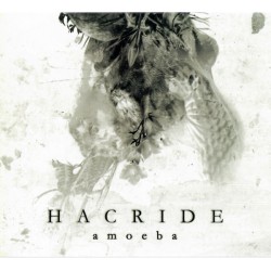 HACRIDE – Amoeba - CD