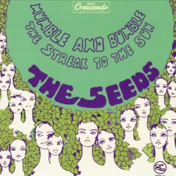 THE SEEDS – Mumble Bumble / The Streak To The Sun - 7”