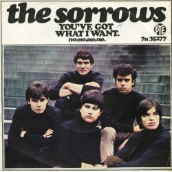 THE SORROWS – You've Got What I Want - 7”