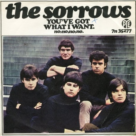 THE SORROWS – You've Got What I Want - 7”