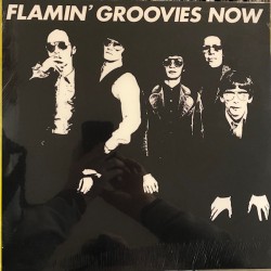 FLAMIN’ GROOVIES – Now - LP