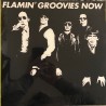 FLAMIN’ GROOVIES – Now - LP