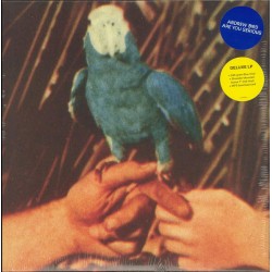 ANDREW BIRD – Are You Serious - LP