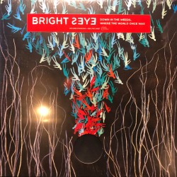 BRIGHT EYES – Down In The Weeds, Where The World Once Was - 2LP