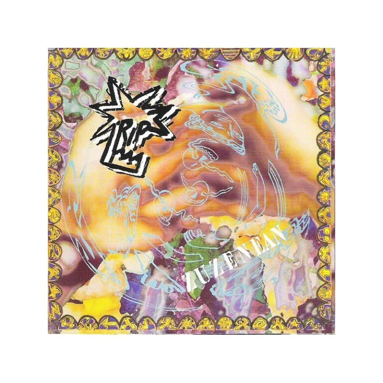 RIP - Zuzenean : Hiesari Aurre Egiten !! - CD