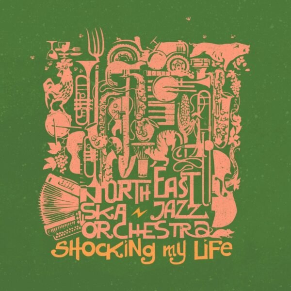NORTH EAST SKA JAZZ ORCHESTRA - Shocking My Life - digital single