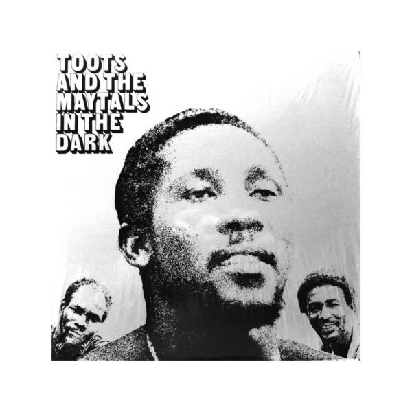 TOOTS AND THE MAYTALS - In The Dark - LP
