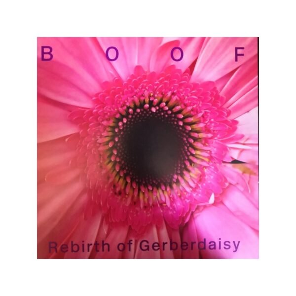 BOOF - Rebirth Of Gerberdaisy - 2XLP