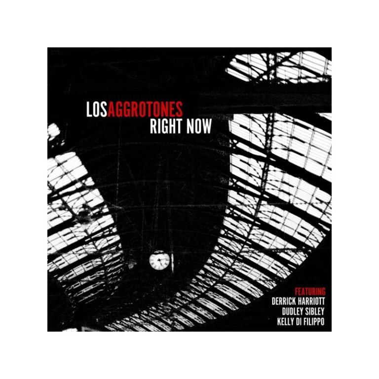 LOS AGGROTONES – Right Now - LP